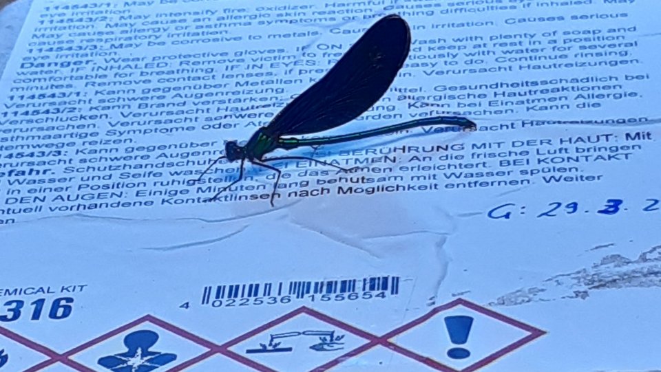 Eine Libelle auf einem Chemikalienbehälter