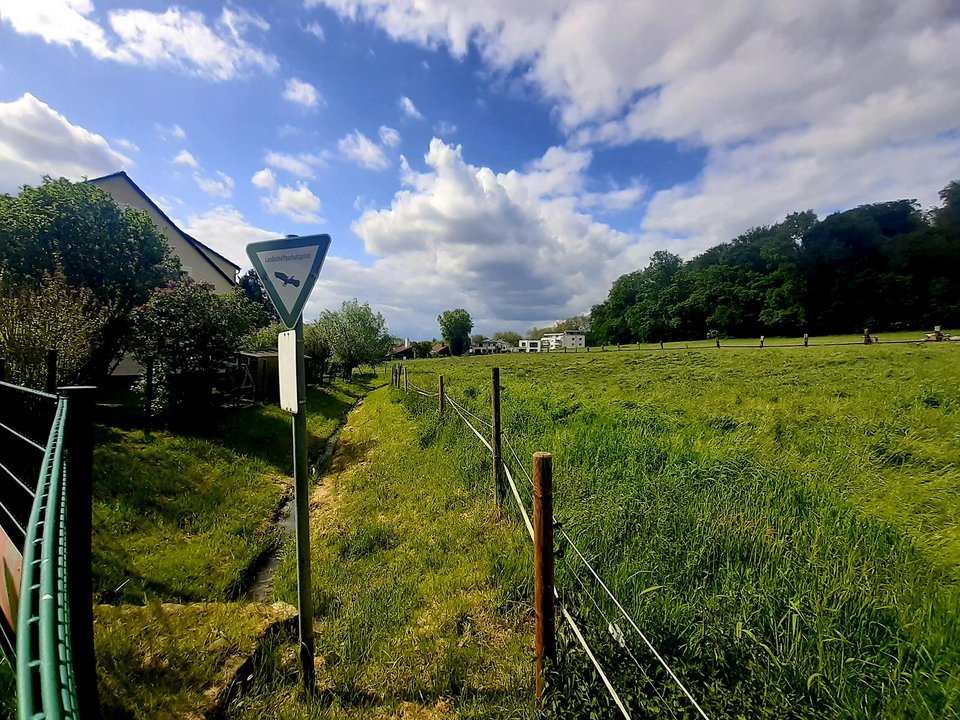Gewässer im Naturschutzgebiet – natürlich schützenswert!