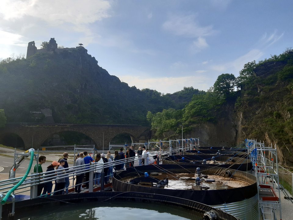 Mobile Kläranlage – Wasseraufbereitung unter Einhaltung aller Anforderungen