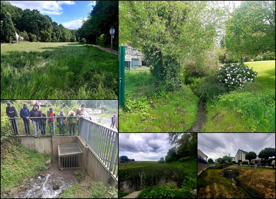 Viele kleine Einzelmaßnahmen ergeben ein großes Ganzes!