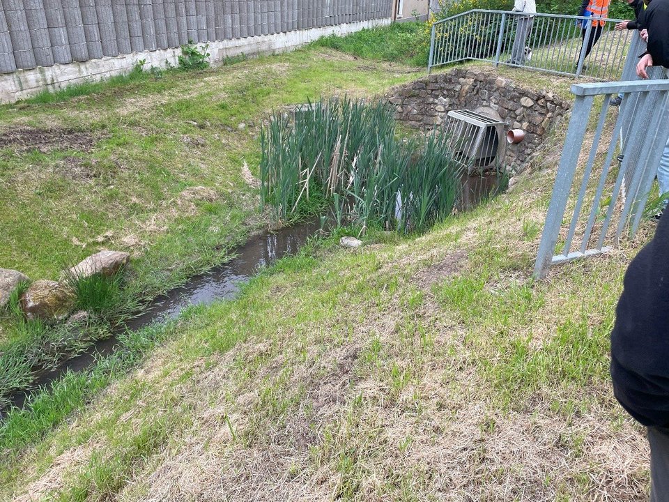 Oberirdisch geführtes Wasser in neu angelegtem Gewässerabschnitt