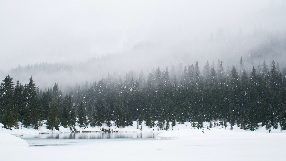 Winter is coming | Unsplash