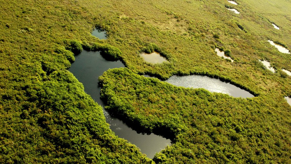 Cenoten aus der Vogelperspektive.