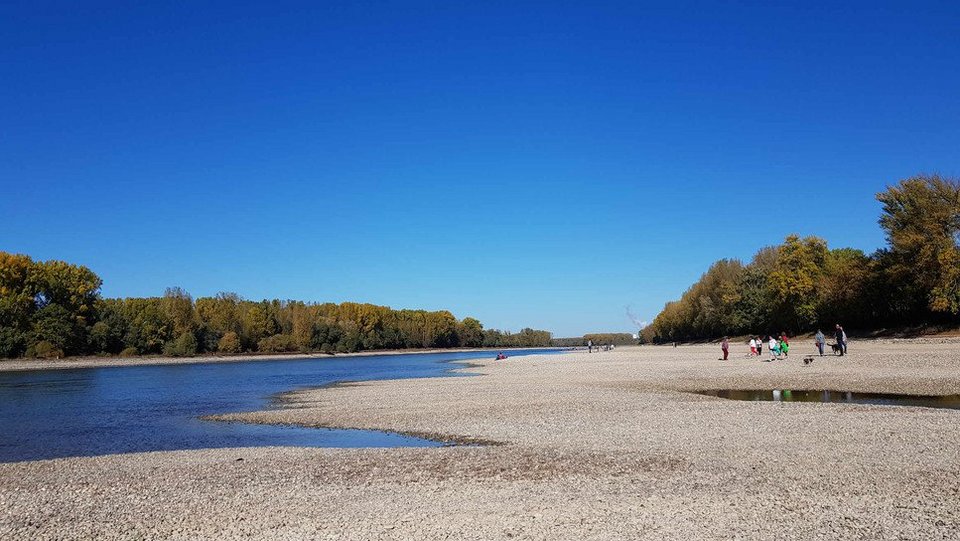 Rheintal bei Trockenwasser © Günter Wendel