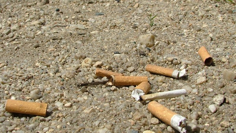 Zigarettenstummel | Alina Zienowicz