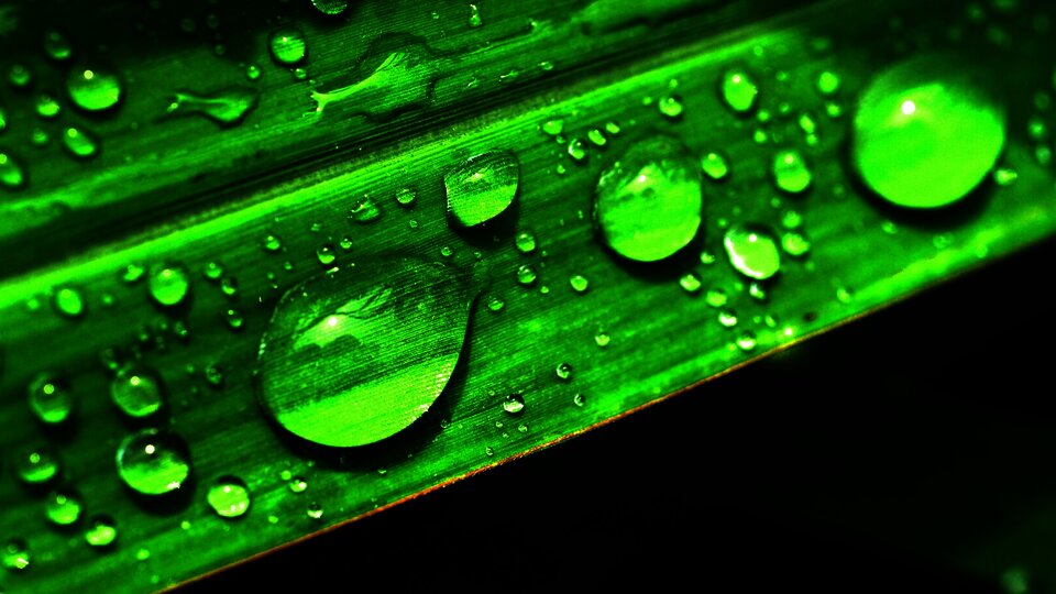 Wassertropfen | Pixabay