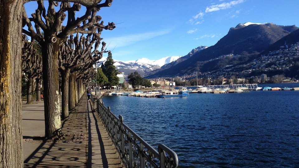 Uferpromenade am Seeufer – schön für Menschen, schlecht für aquatsiche Lebewesen.