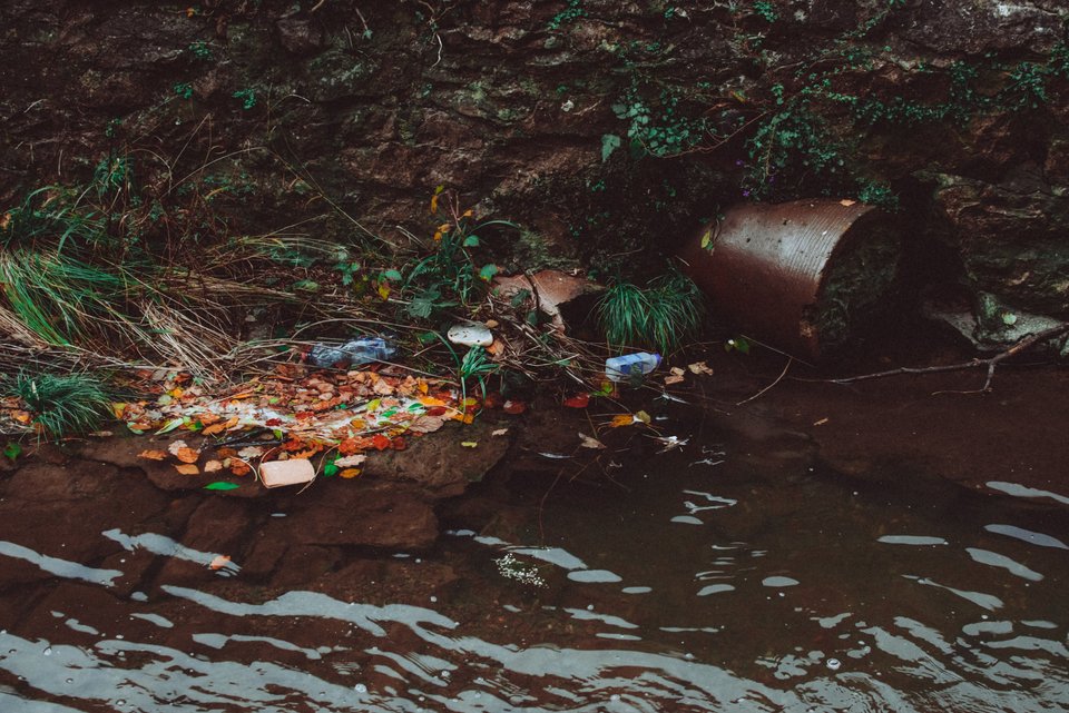 Water Pollution | Pexels