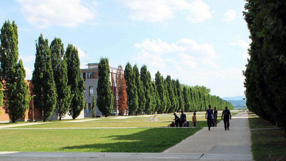 Scharnhauser Park © Ramboll Studio Dreiseitl