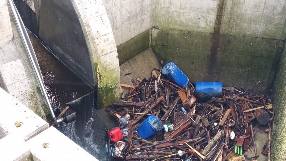 Entnommenes Treibgut