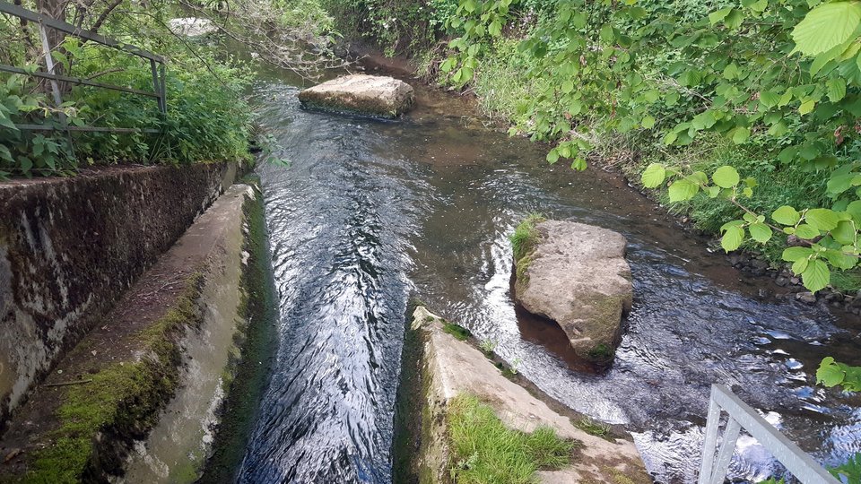 Kläranlagenablauf in den Oberlauf des Neckars