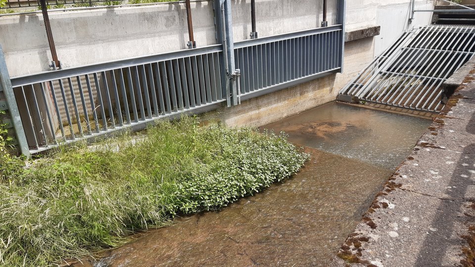 Einlauf mit Rechen und Bypass