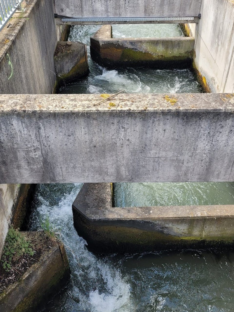 Fischtreppe an der Staustufe Iffezheim