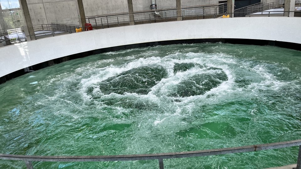 Quellbecken auf dem Sipplinger Berg