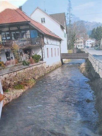 Ursprüngliches Flussbett